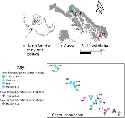 Floral and genetic divergence across environmental gradients is moderated by inter-population gene flow in Platanthera dilatata (Orchidaceae)